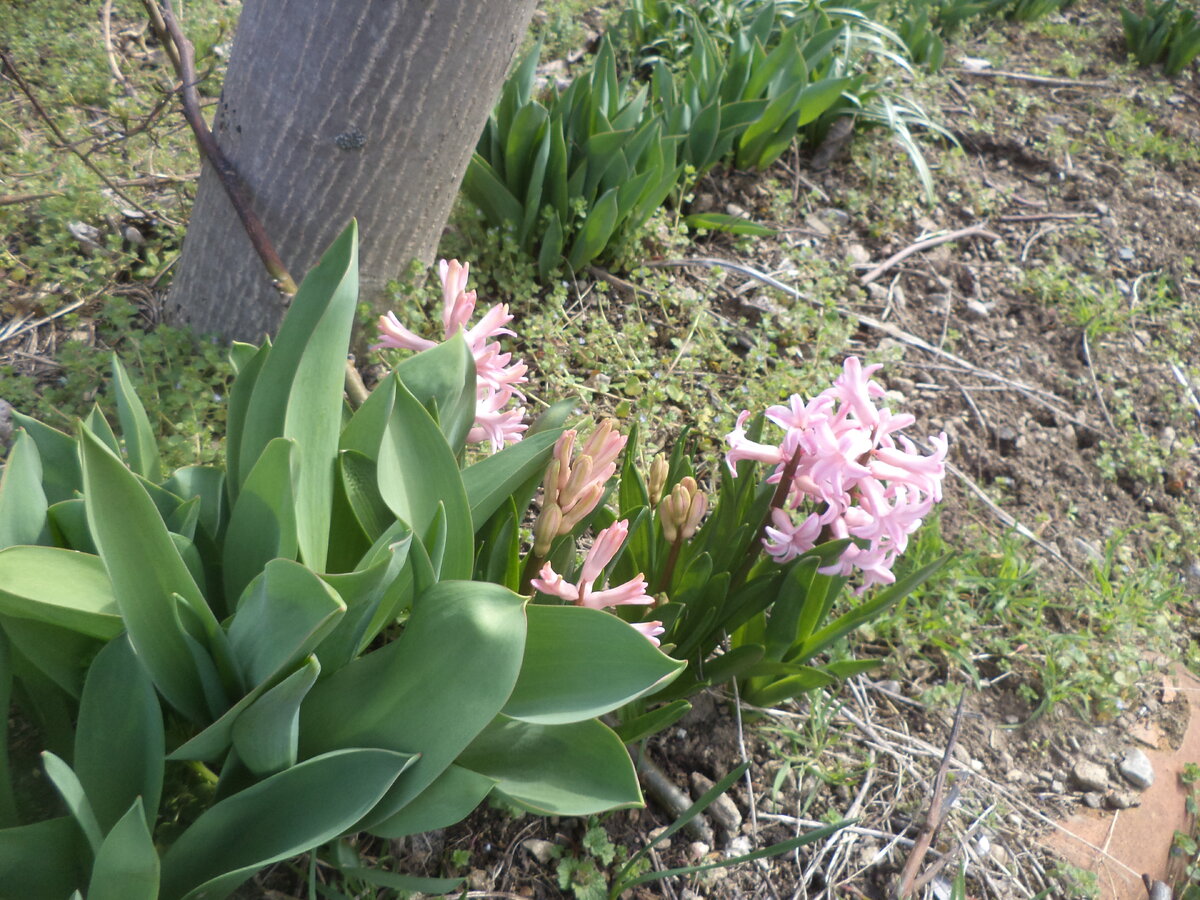 DSC02860.JPG