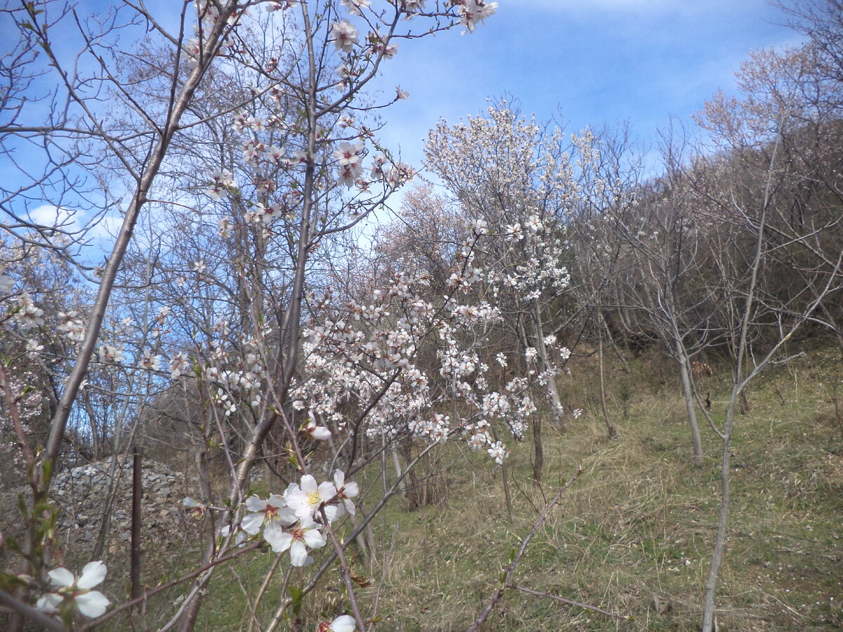 DSC02864.JPG