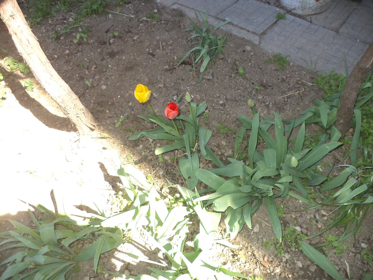 DSC02890.JPG