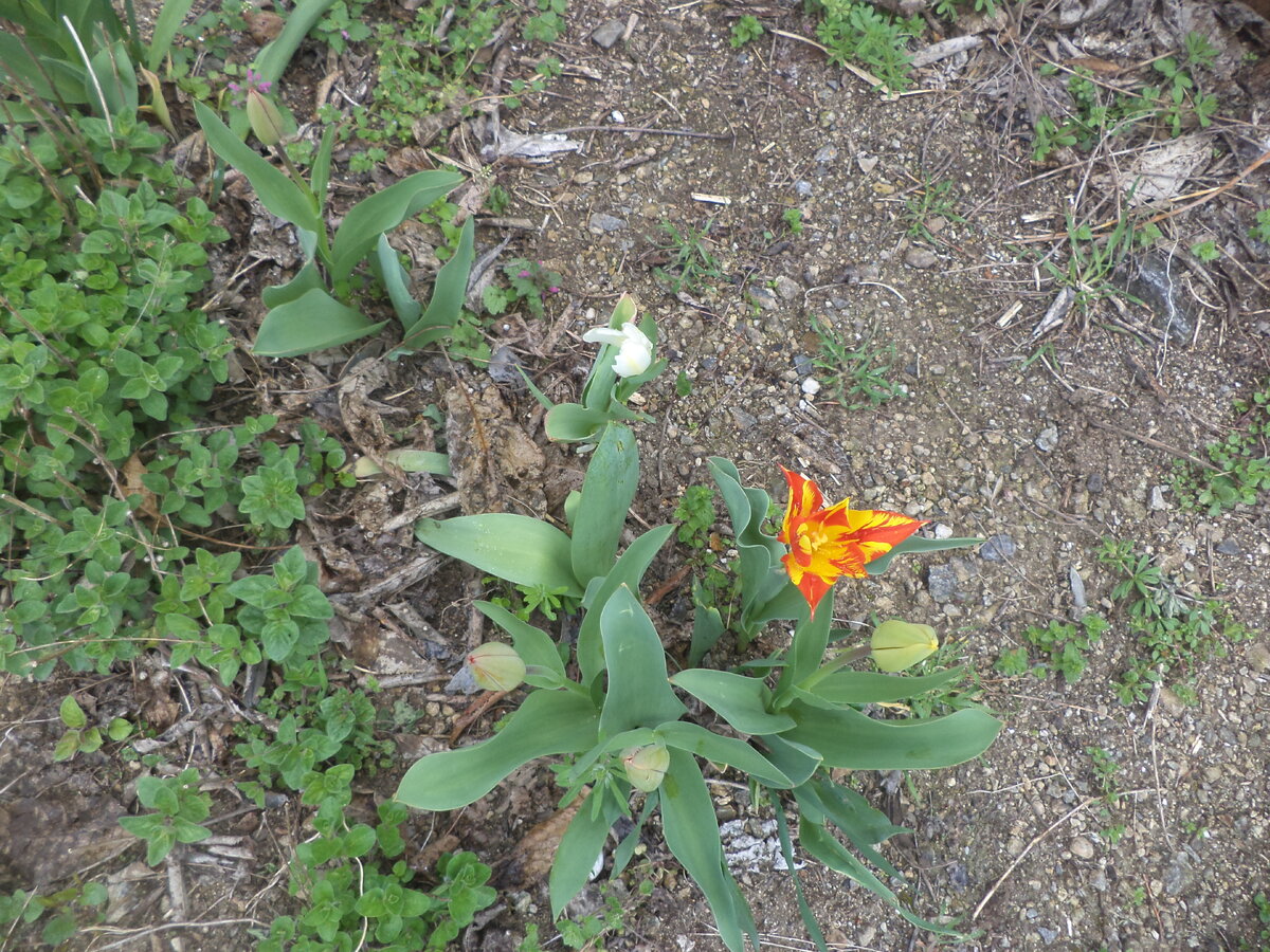DSC02900.JPG