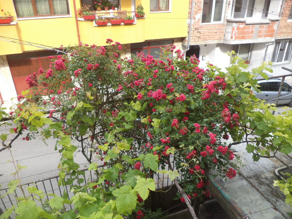 DSC03058.JPG