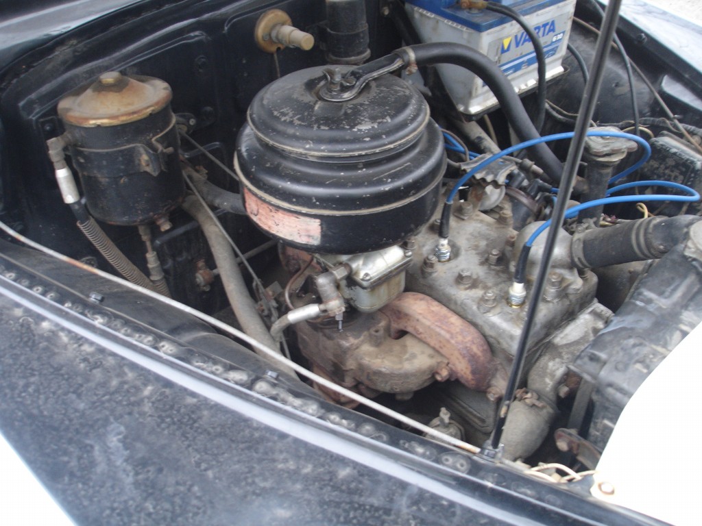 DSC03095.JPG