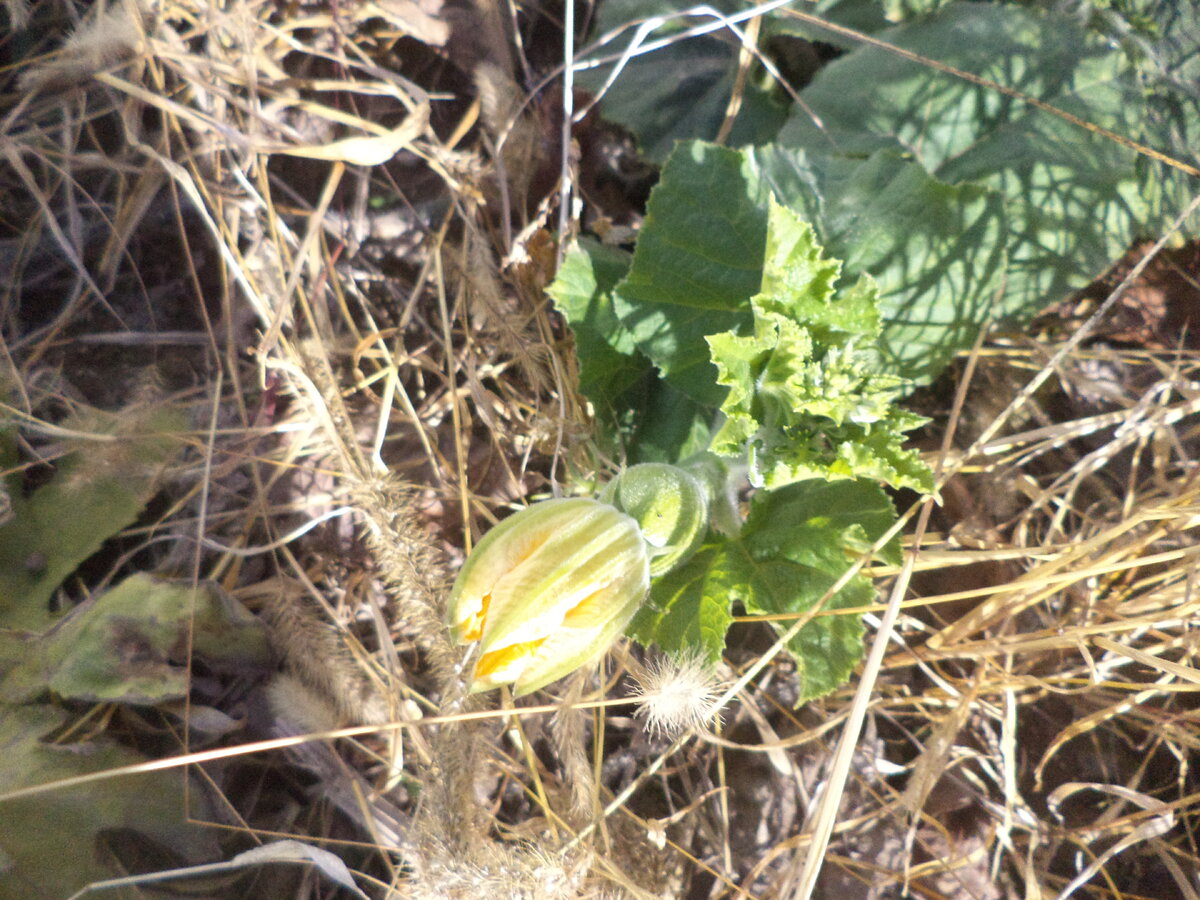 DSC03311.JPG