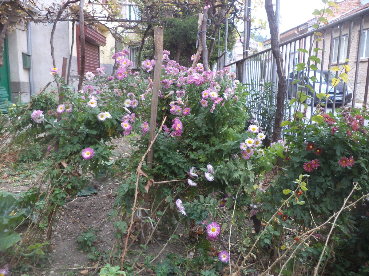 DSC03331.JPG