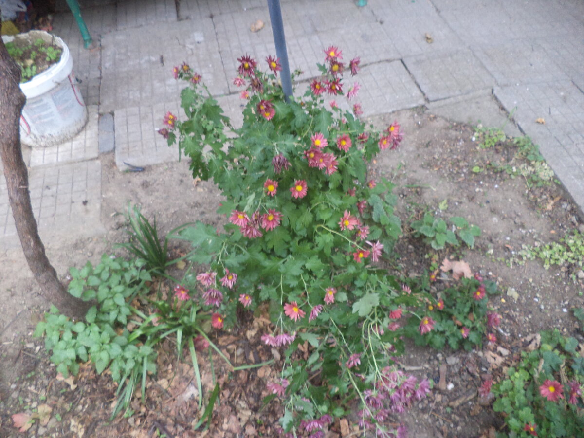 DSC03332.JPG