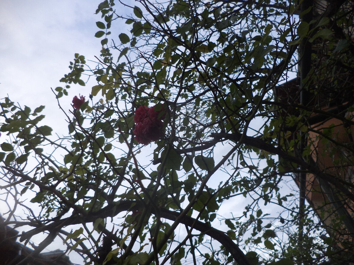 DSC03336.JPG