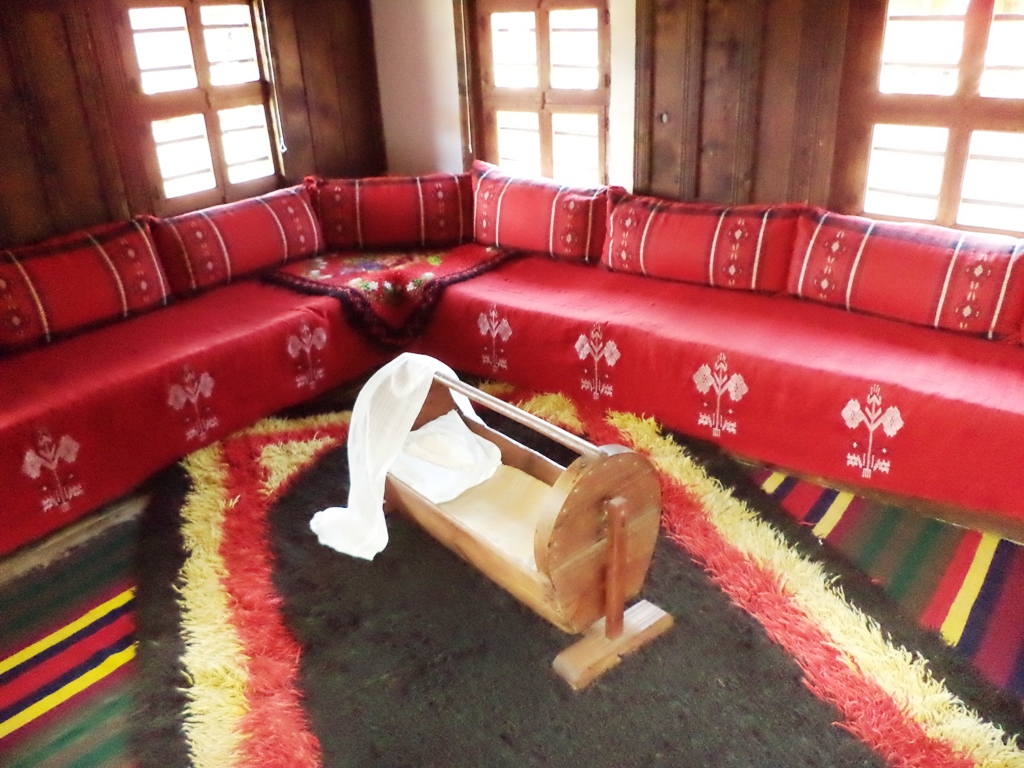 DSC03380.JPG
