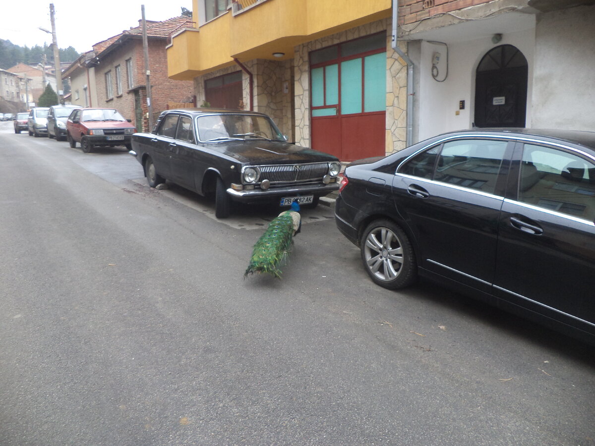 DSC03392.JPG