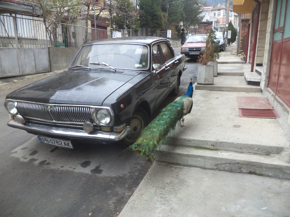 DSC03393.JPG