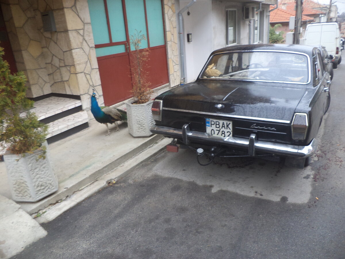 DSC03394.JPG