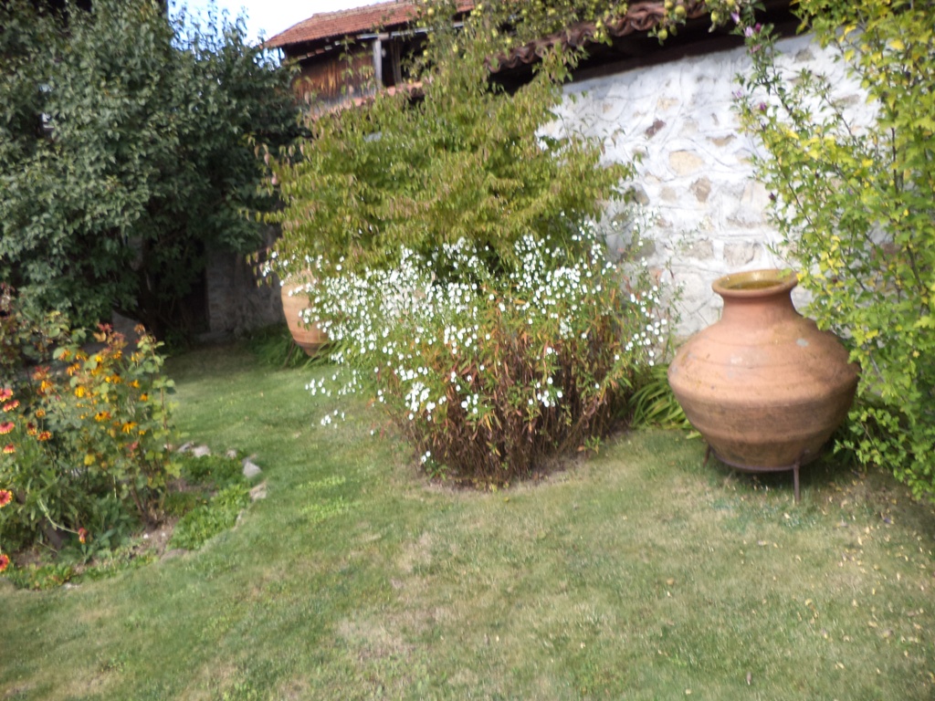 DSC03431.JPG