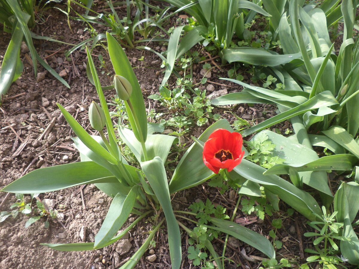 DSC03455.JPG