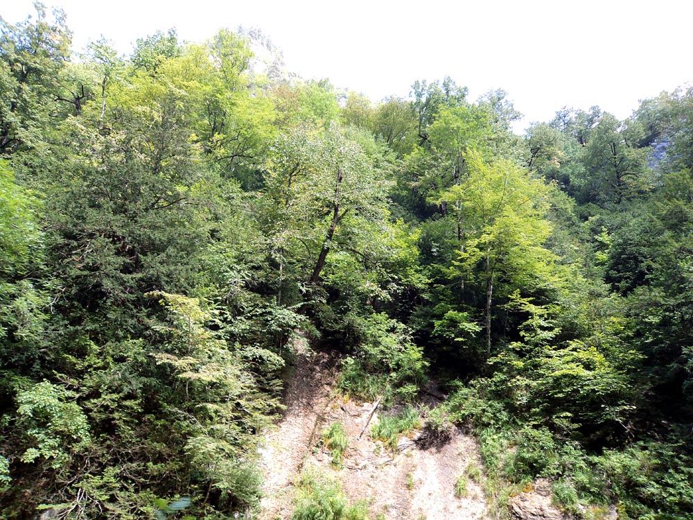 DSC03485.jpg