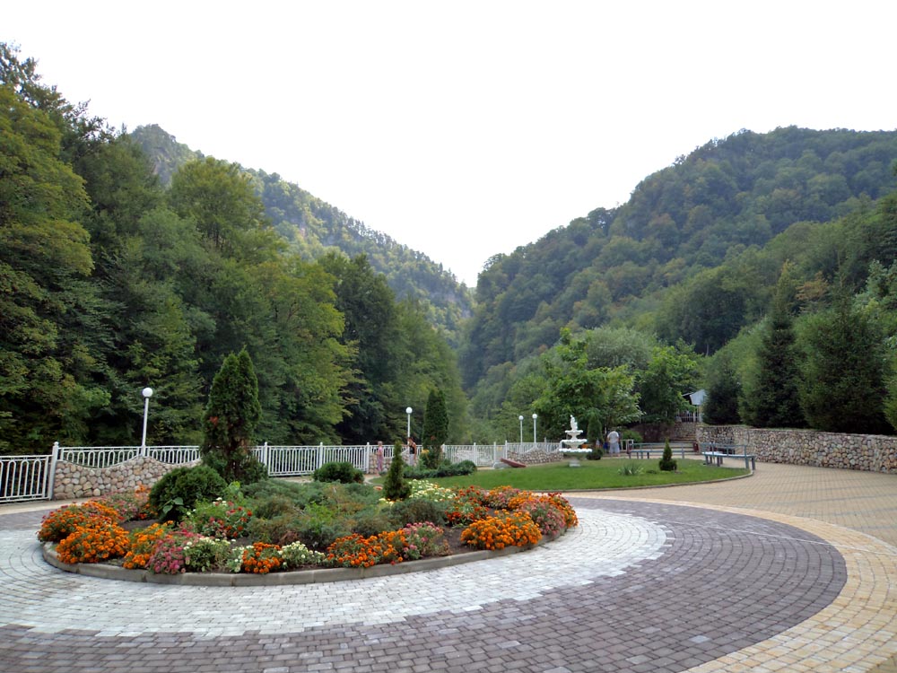 DSC03495.jpg