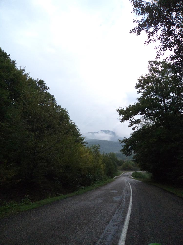 DSC03522.jpg