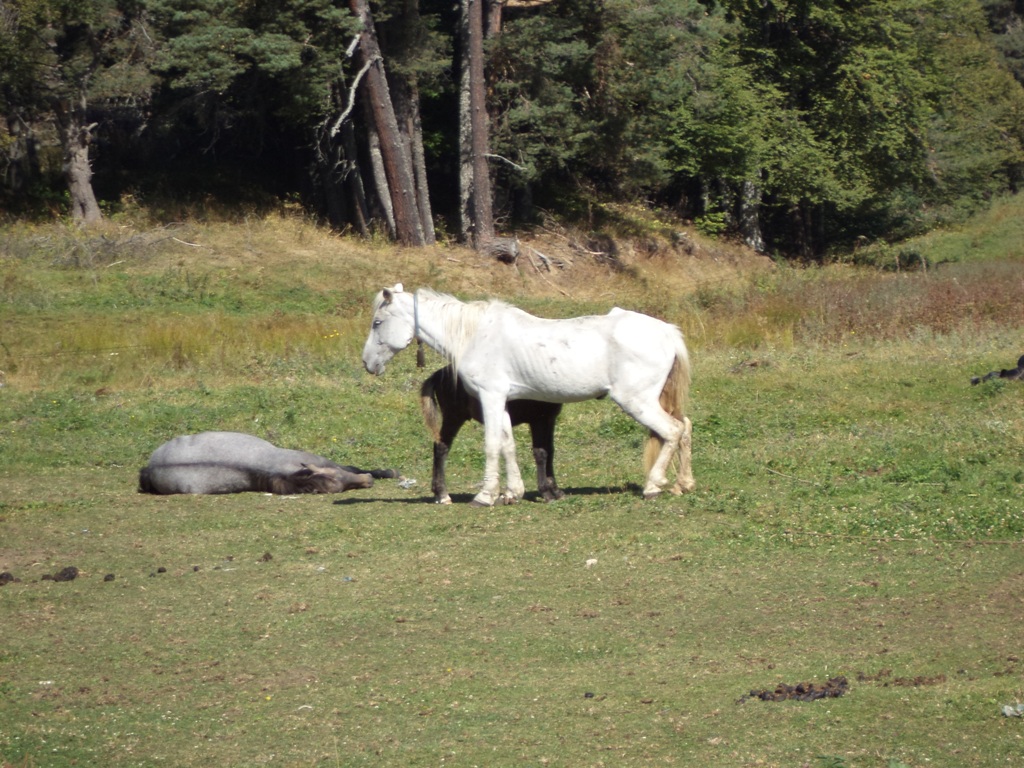 DSC03575.JPG