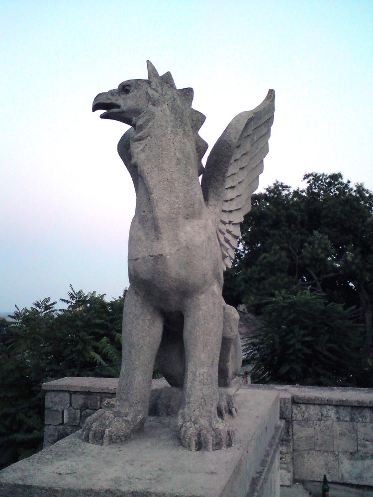 DSC03857.jpg