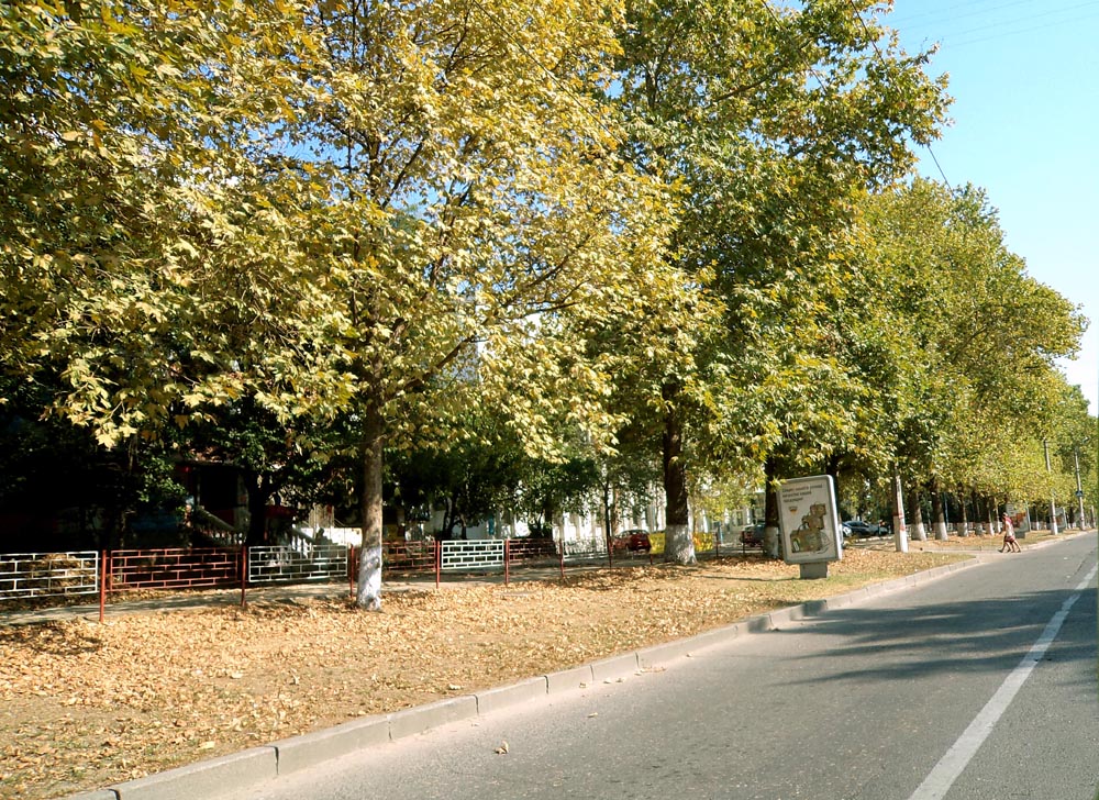DSC04004.jpg