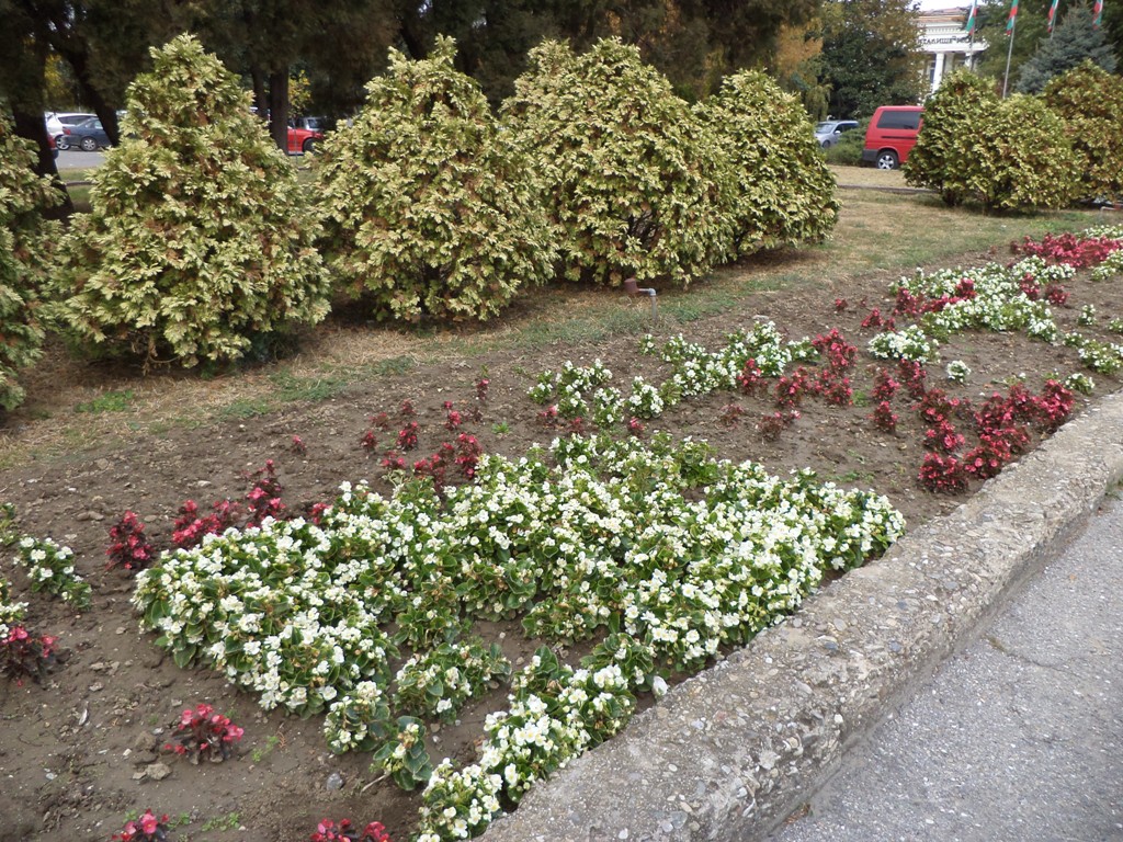 DSC04017.JPG