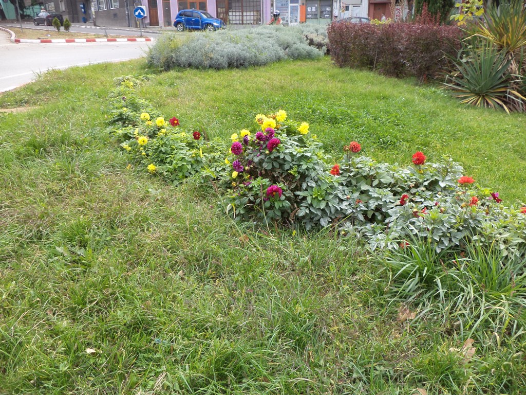 DSC04026.JPG