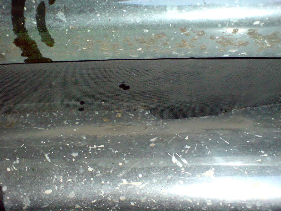 DSC04038.JPG