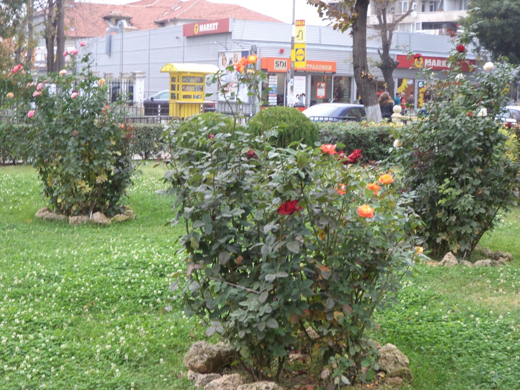 DSC04060.JPG