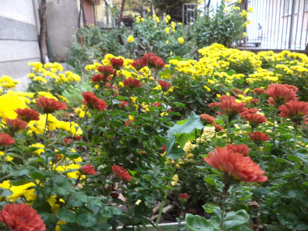 DSC04062.JPG