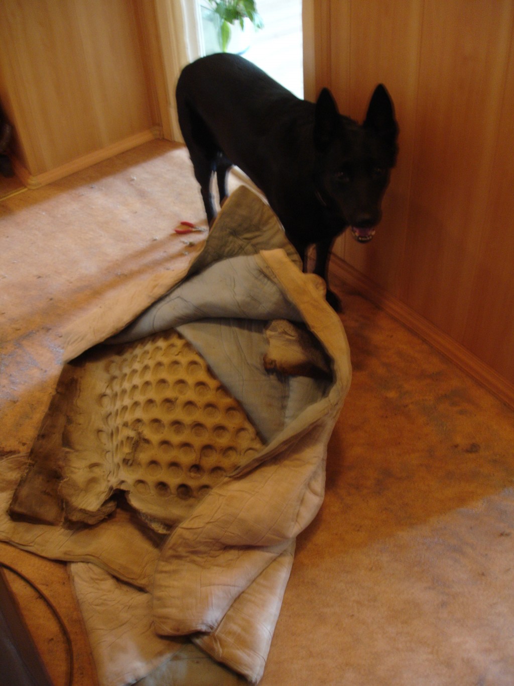 DSC04107.JPG
