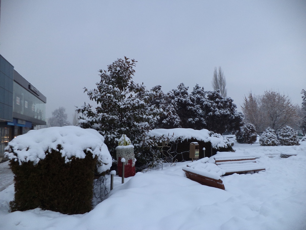 DSC04541.JPG