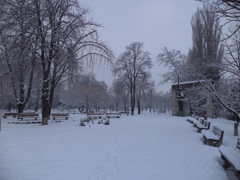 DSC04544.JPG