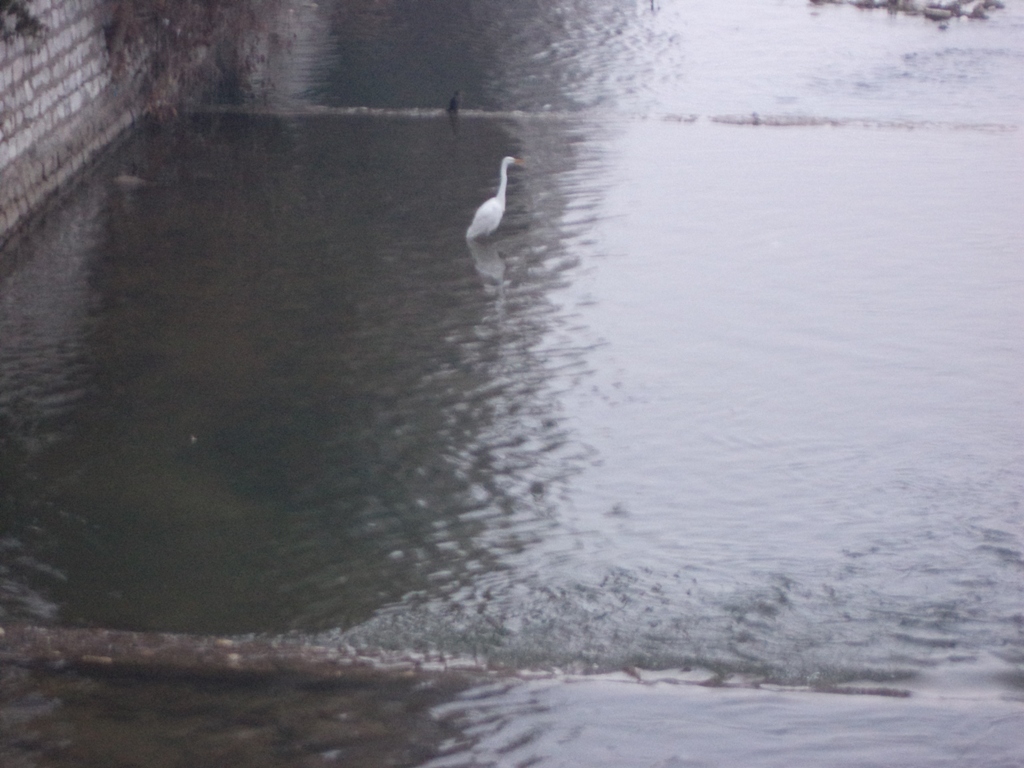 DSC04602.JPG