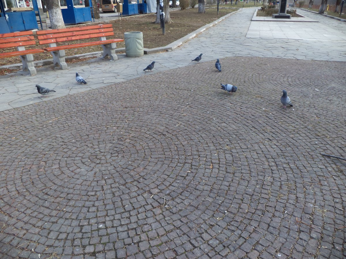 DSC04702.JPG