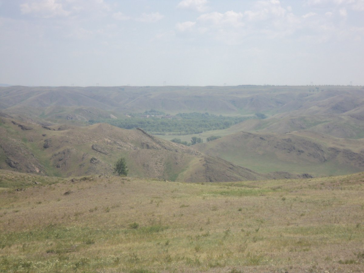 DSC04708.JPG