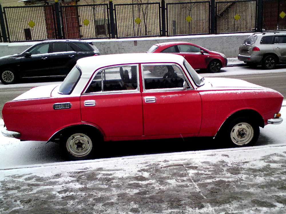 DSC05062 тт.jpg