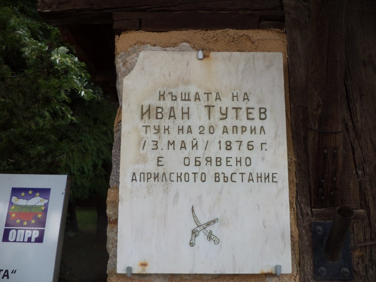 DSC05321.JPG
