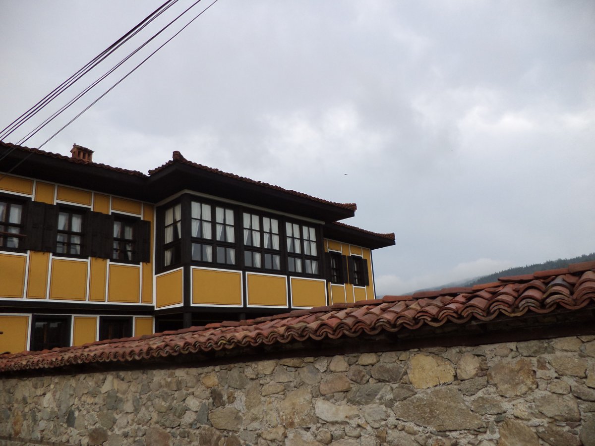 DSC05350.JPG