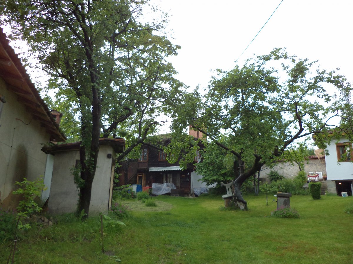 DSC05354.JPG