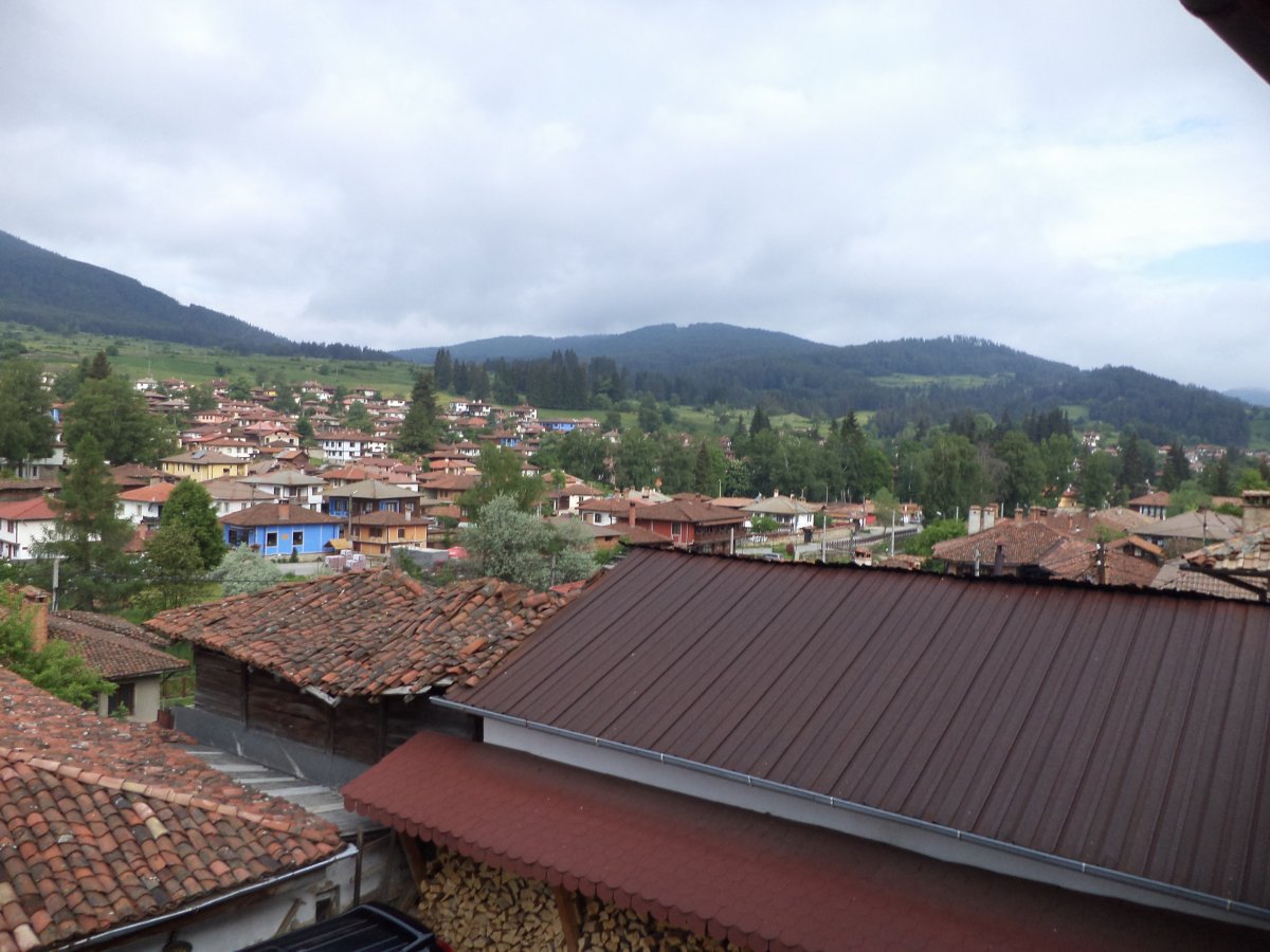 DSC05368.JPG