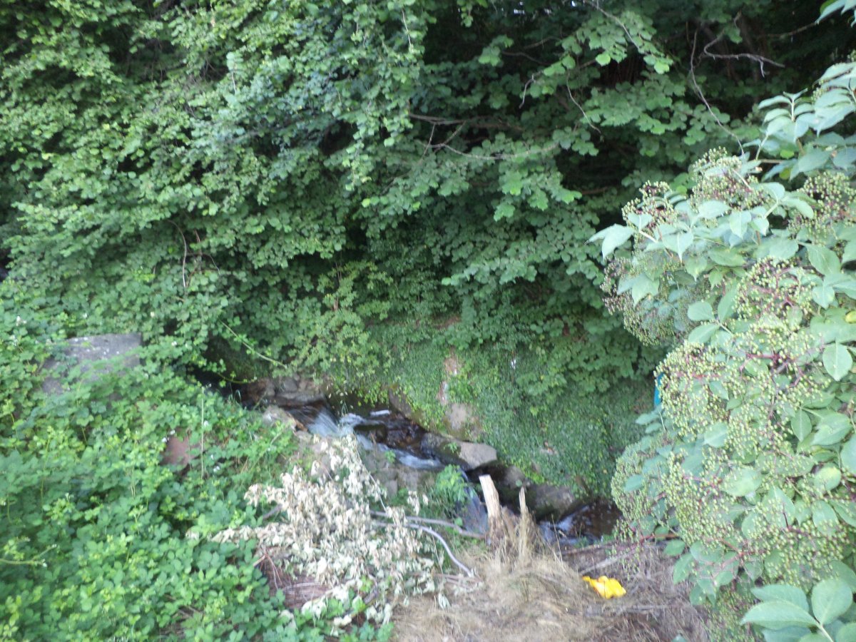 DSC05517.JPG