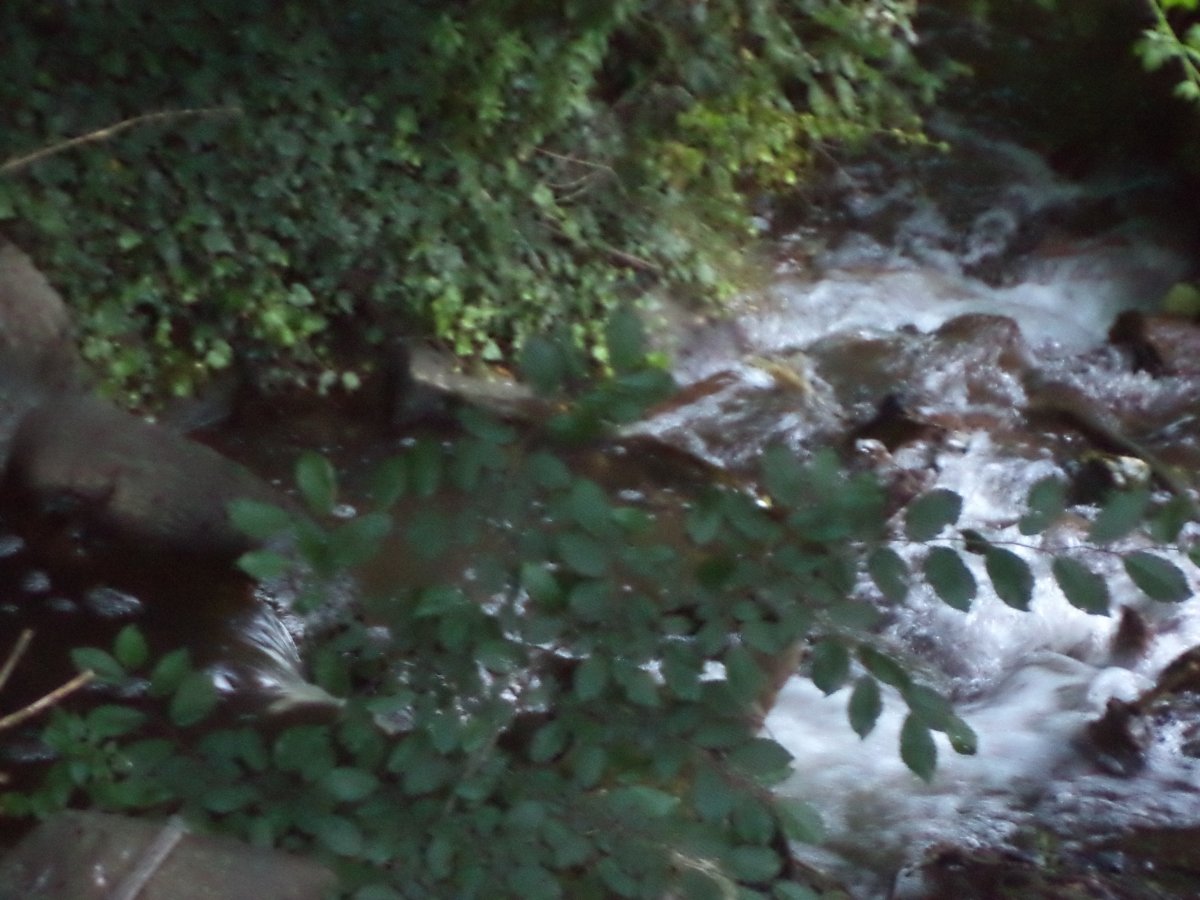 DSC05521.JPG