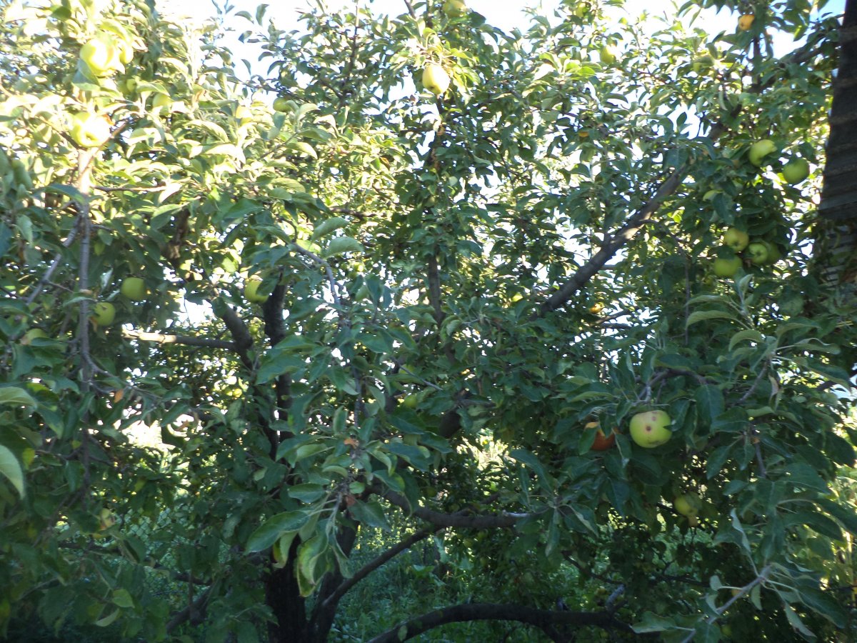 DSC05539.JPG