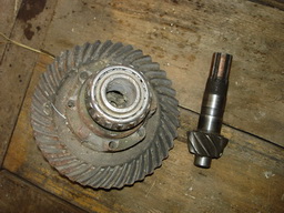 DSC06021.jpg