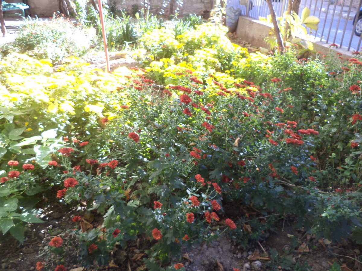DSC06067.JPG
