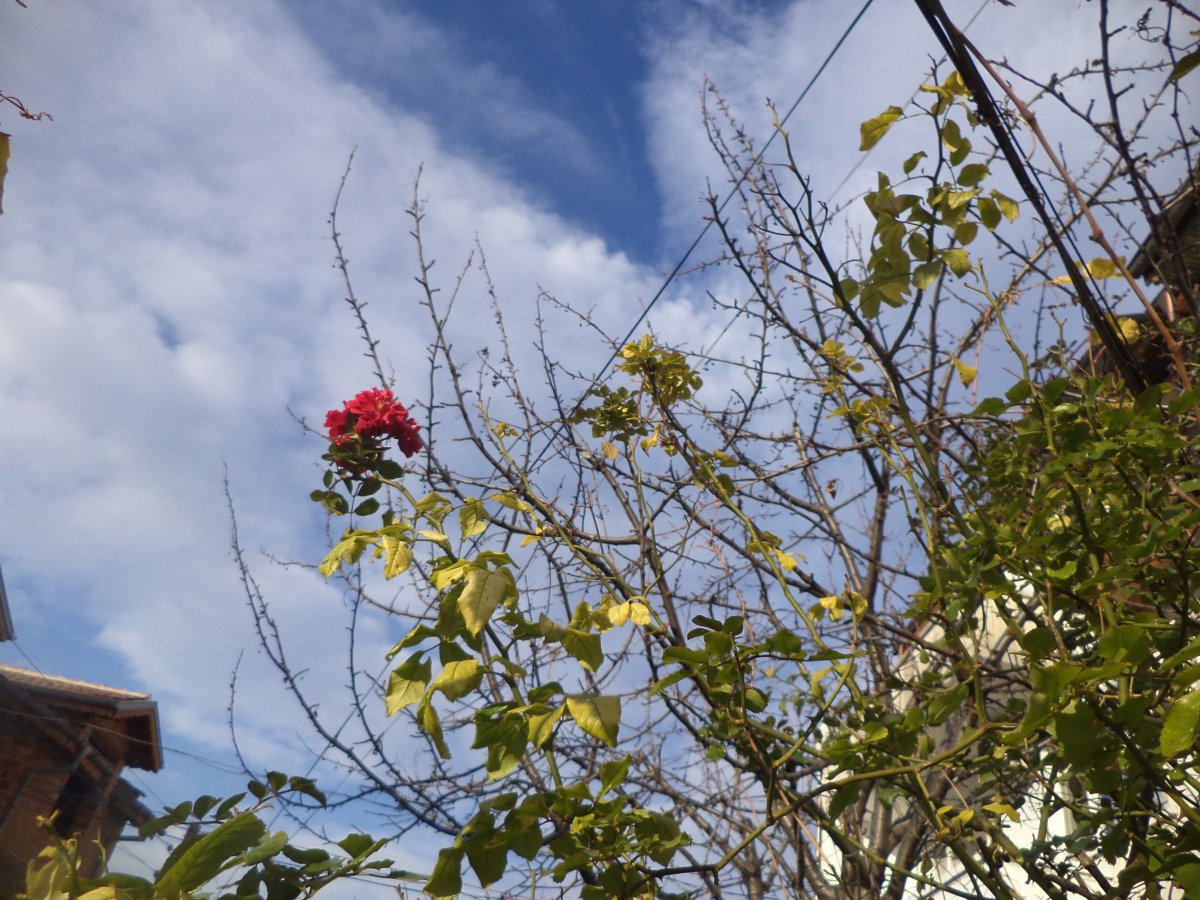 DSC06283.JPG