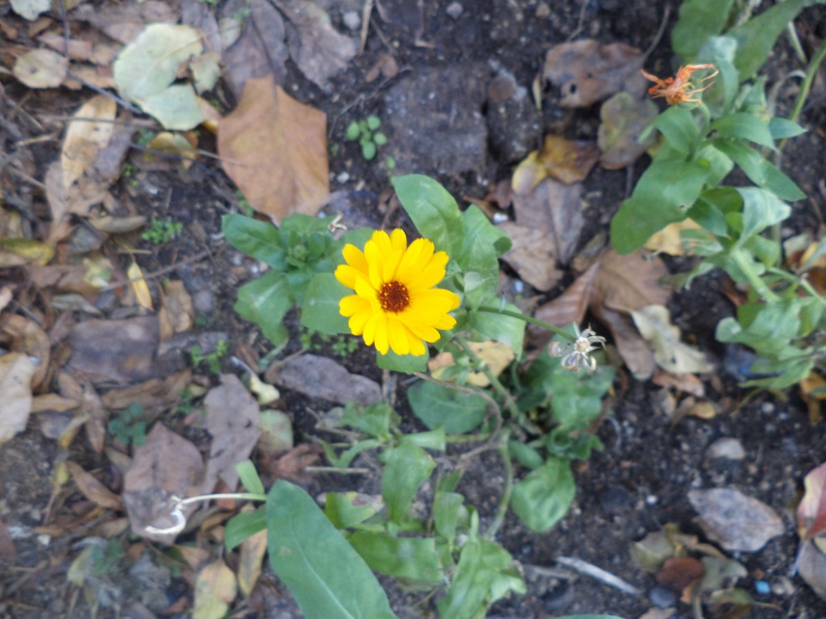 DSC06292.JPG