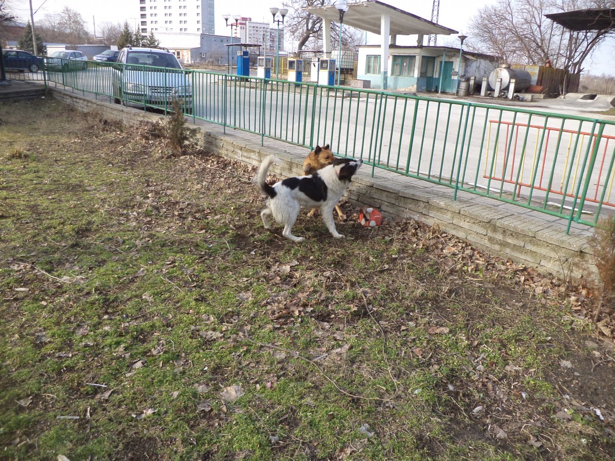 DSC06445.JPG