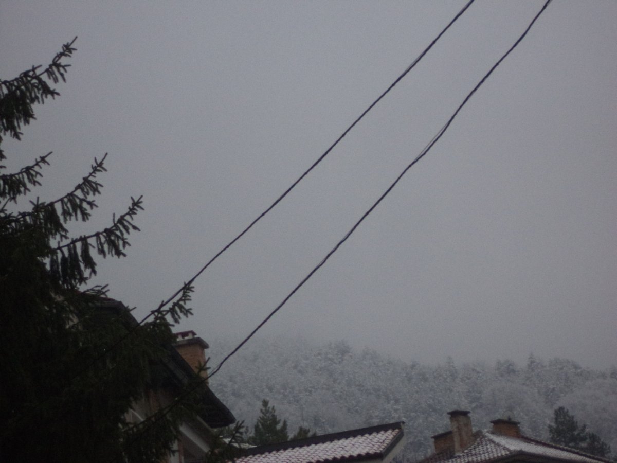 DSC06646.JPG
