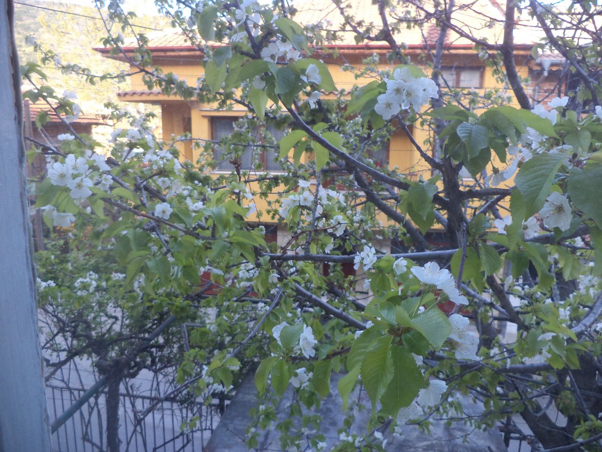 DSC06854.JPG