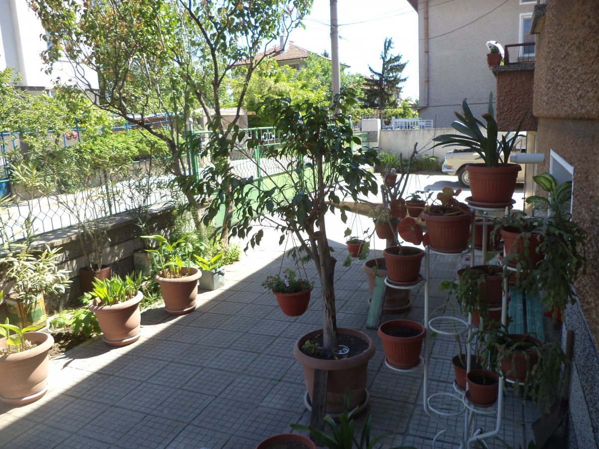 DSC06947.JPG