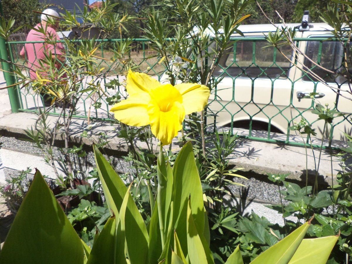 DSC07420.JPG